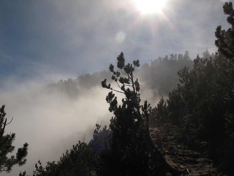 OLYMPOS 9.jpg