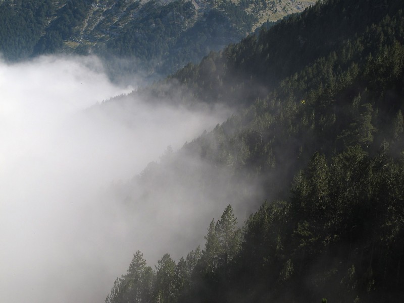 OLYMPOS 11.jpg