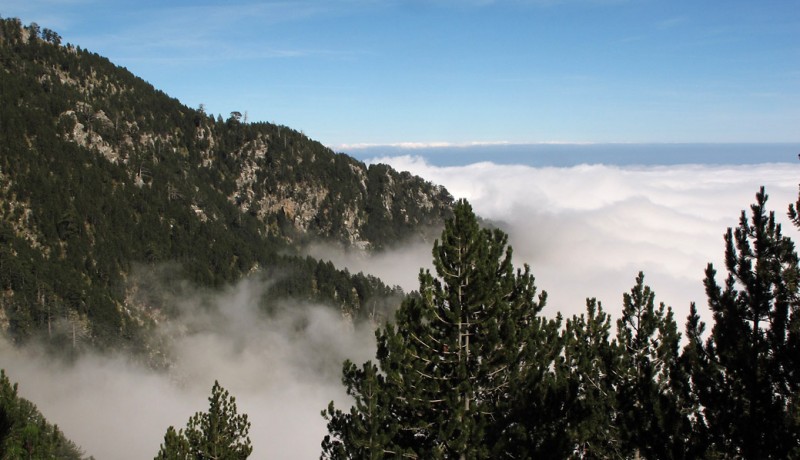OLYMPOS 12.jpg