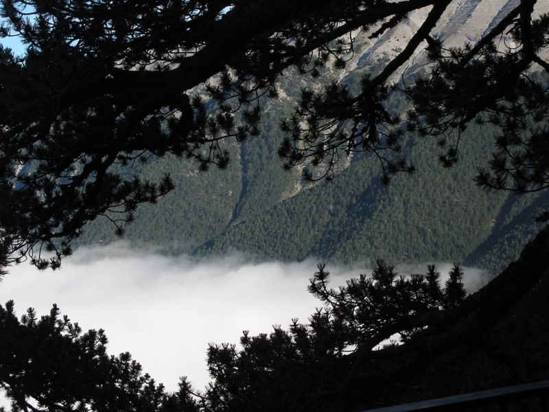OLYMPOS 13.jpg
