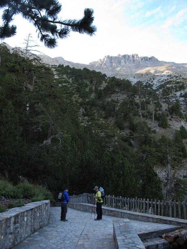 OLYMPOS 14.jpg