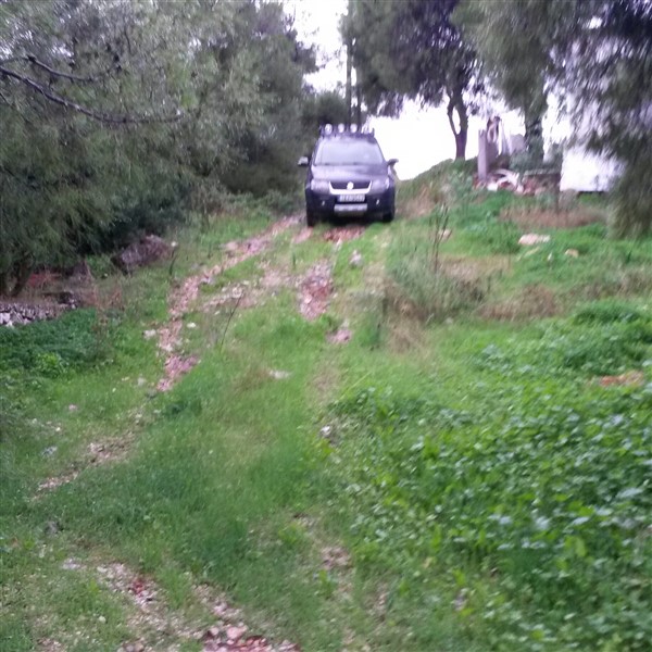 20151023_162717-1.jpg