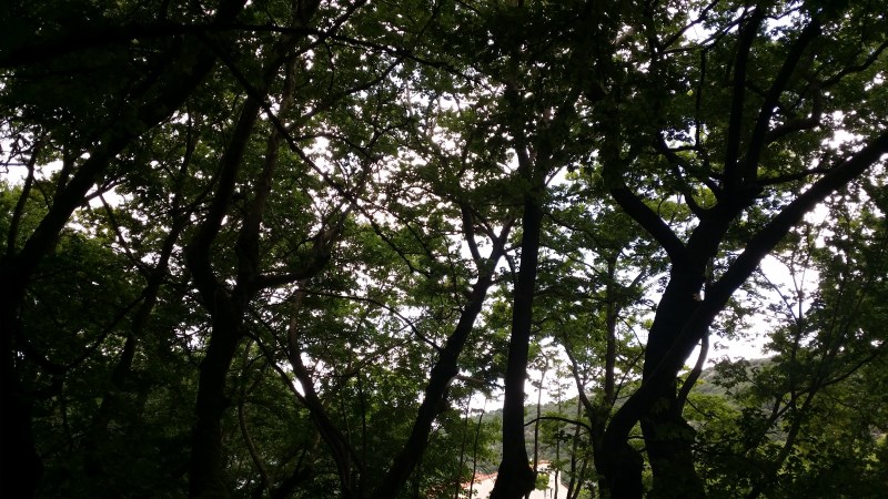 20150823_151449.jpg