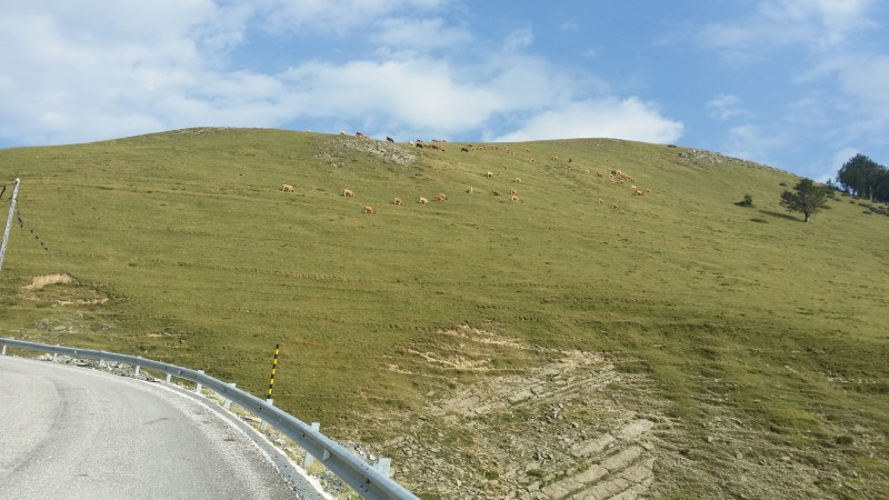 20150825_170759.jpg