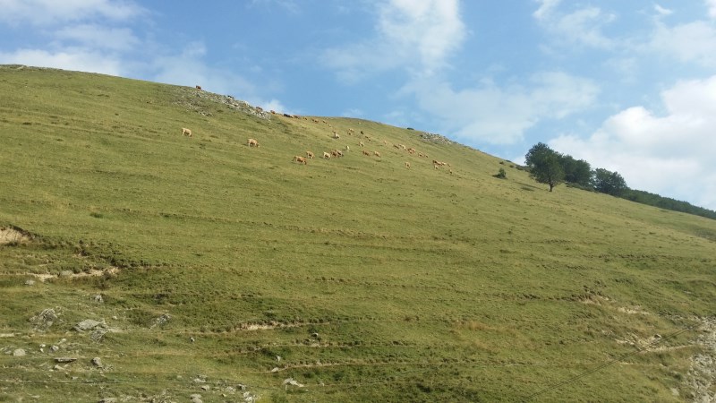 20150825_170818.jpg