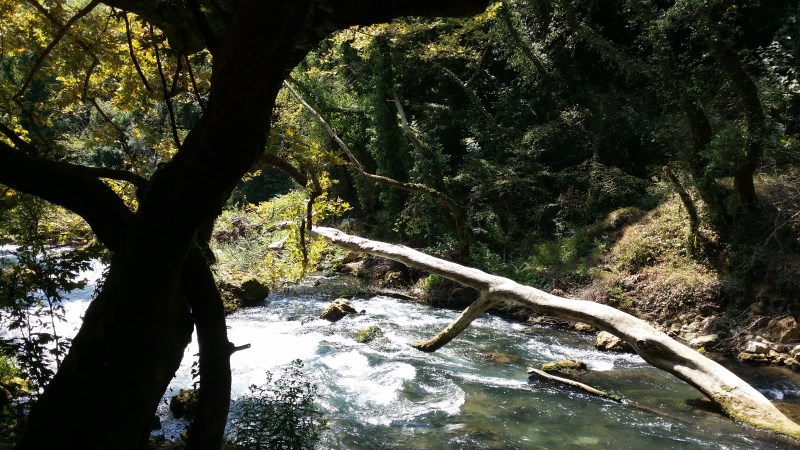 20150826_125144.jpg