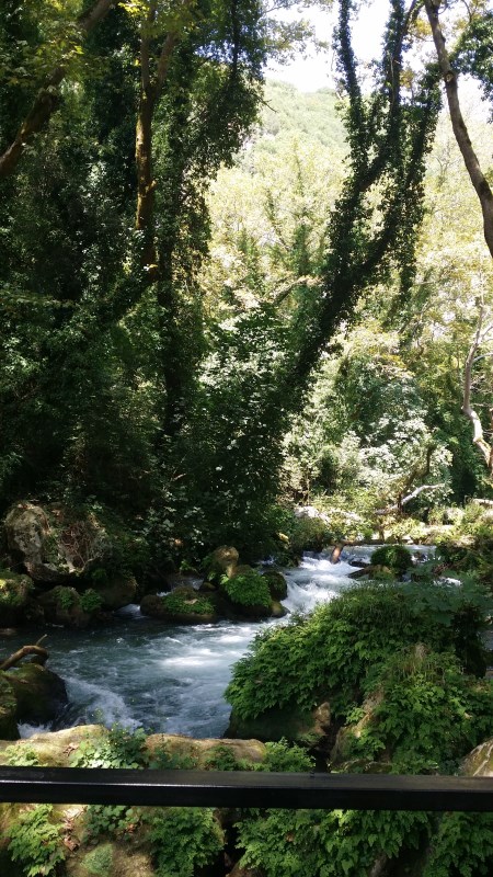20150826_125315.jpg