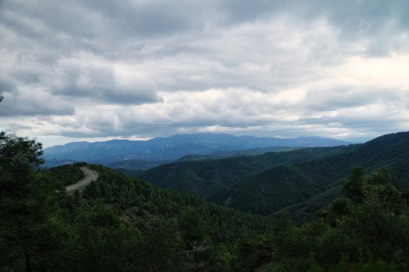 DSC08740.jpg