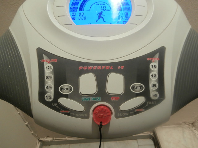 PB041211.JPG