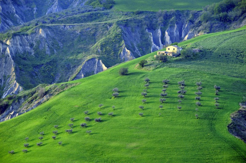 Green fields -  Giuseppe di Pietrantonio.jpg