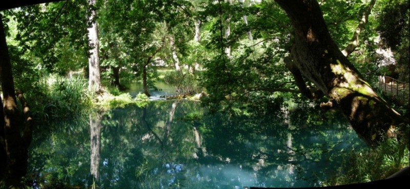 panor (900 x 415).jpg