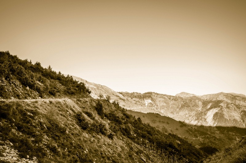 DSC_6304 (Αντιγραφή).jpg