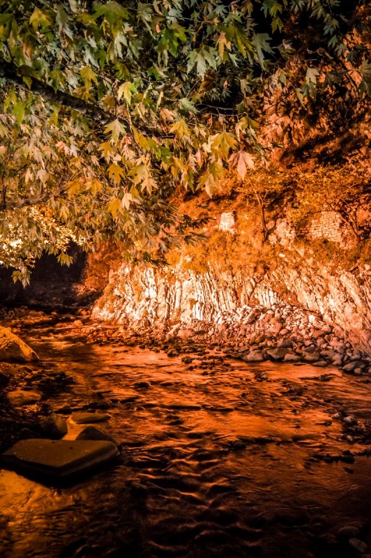 DSC_6360 (Αντιγραφή).jpg