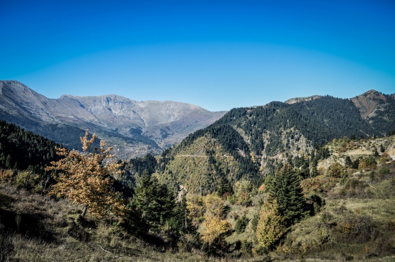 DSC_6434 (Αντιγραφή).jpg