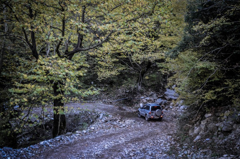 DSC_6555 (Αντιγραφή).jpg