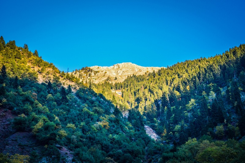 DSC_6585 (Αντιγραφή).jpg