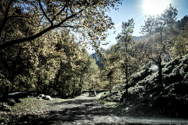 DSC_6653 (Αντιγραφή).jpg