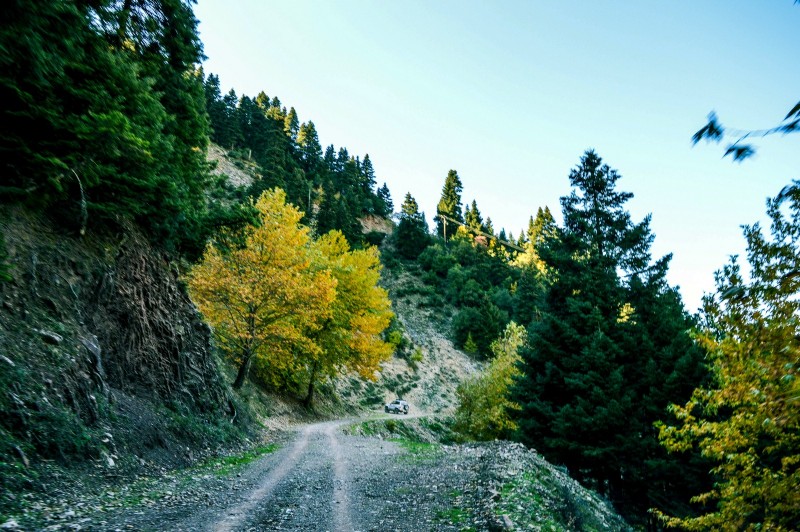 DSC_6665 (Αντιγραφή).jpg