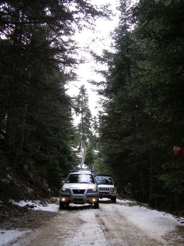 p6.jpg