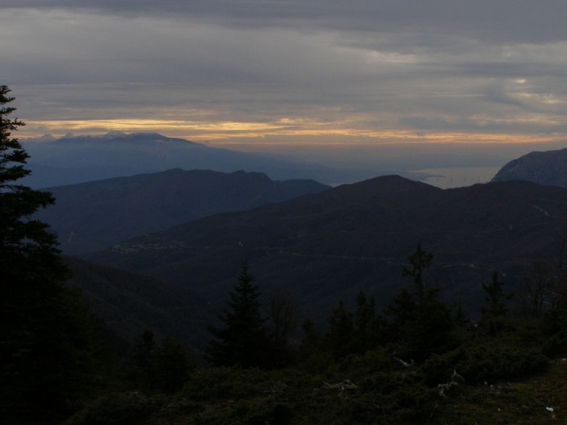 p7.jpg