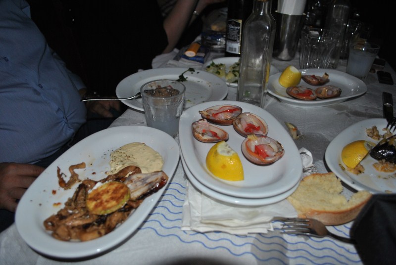 DSC_1786.jpg
