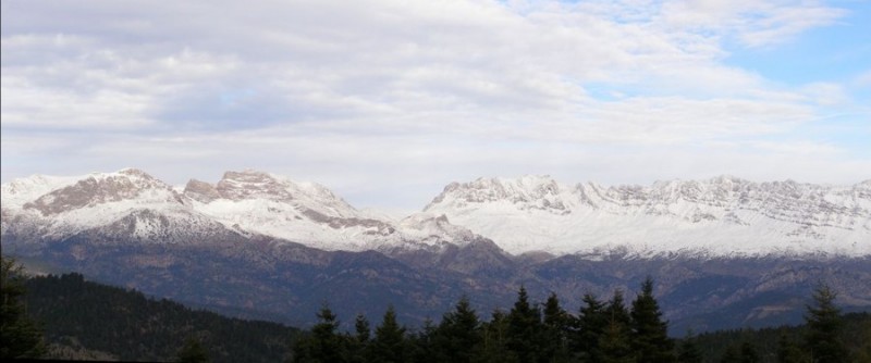 p10.jpg