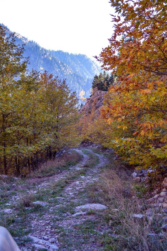 DSC_6729 (Αντιγραφή).jpg
