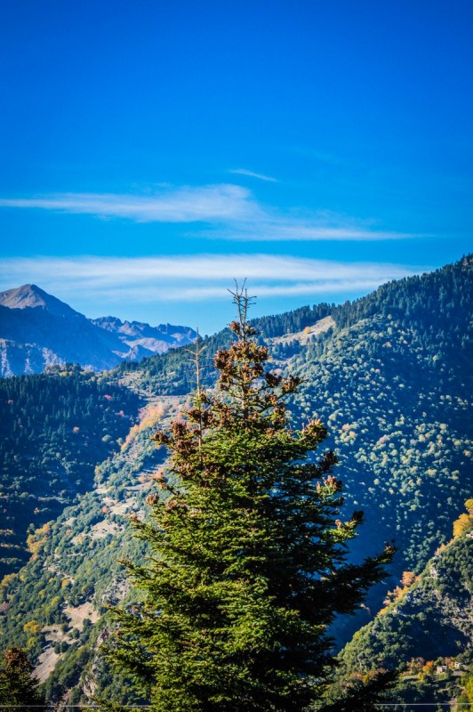 DSC_6809 (Αντιγραφή).jpg