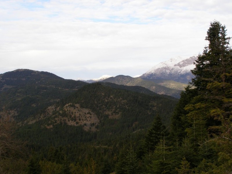 p13.jpg
