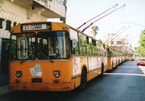 AthensZiu8.jpg