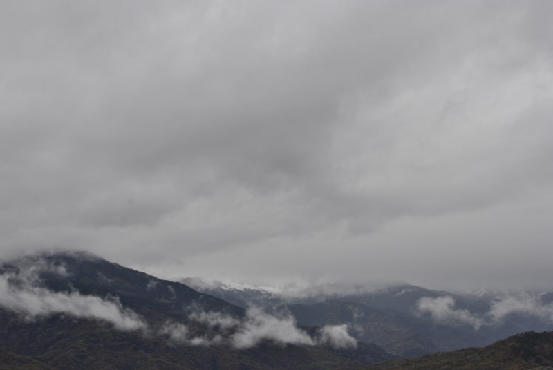 _DSC9447.jpg