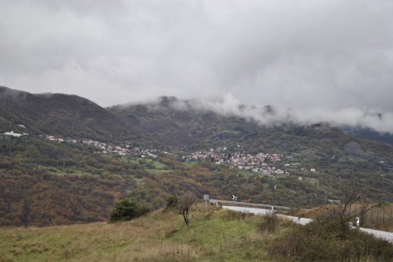 _DSC9450.jpg