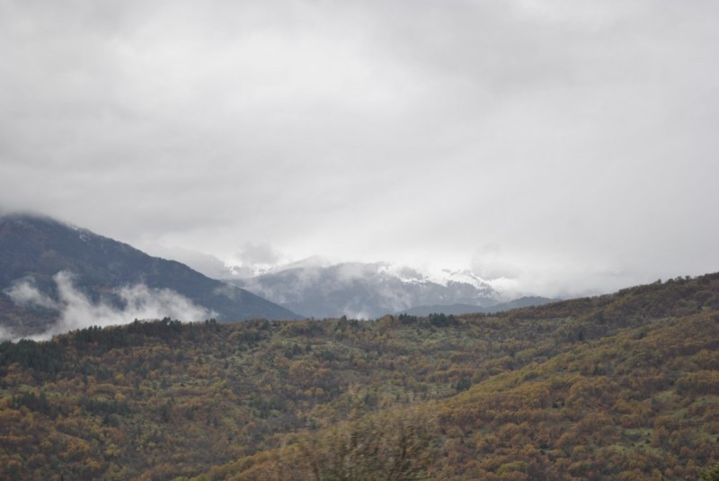 _DSC9451.jpg