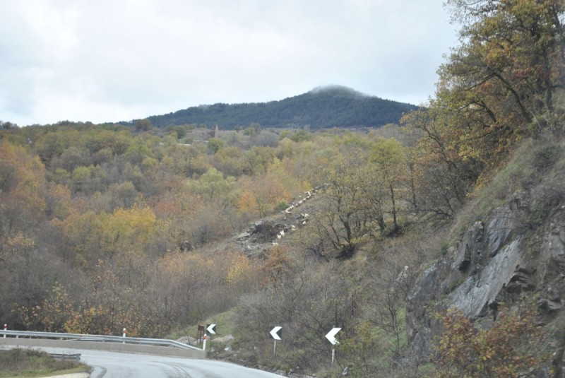 _DSC9454.jpg