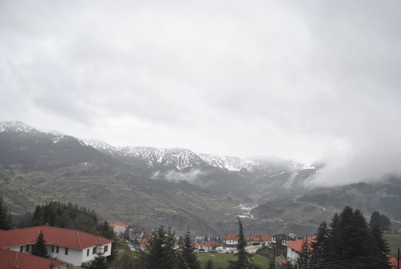 _DSC9507.jpg