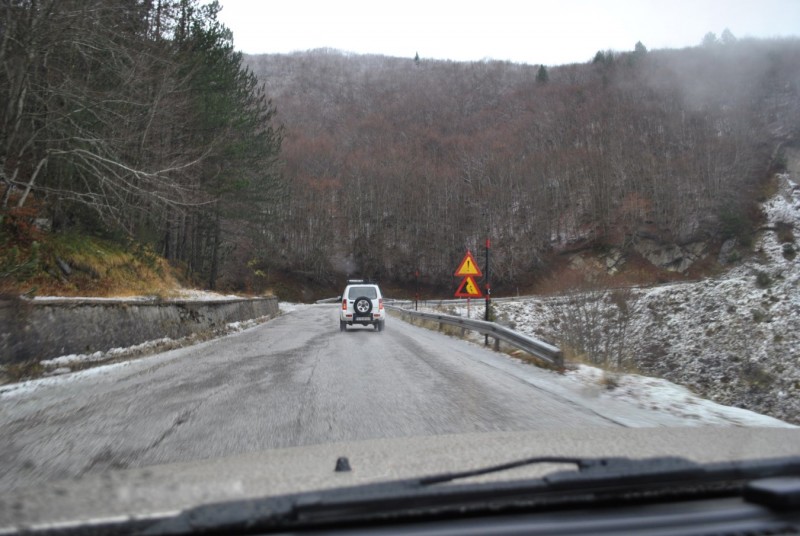 _DSC9509.jpg