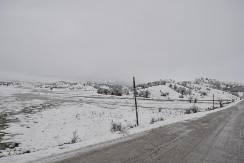 _DSC9517.jpg