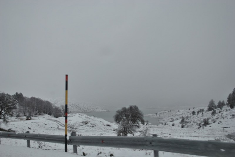 _DSC9537.jpg