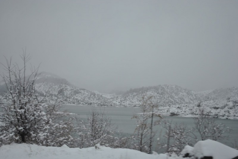 _DSC9546.jpg