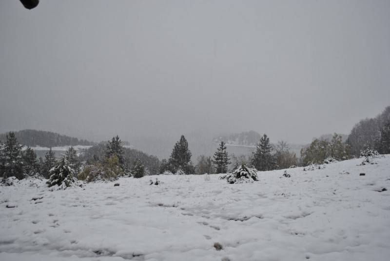 _DSC9557.jpg
