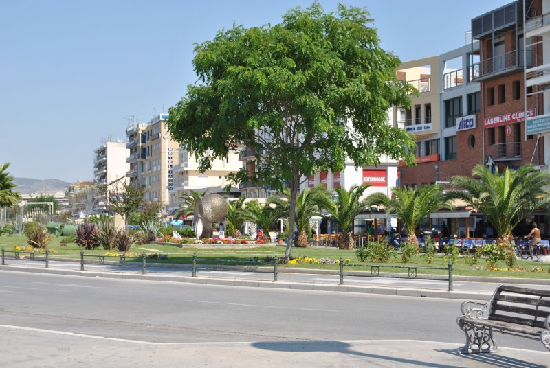 DSC_1818.jpg