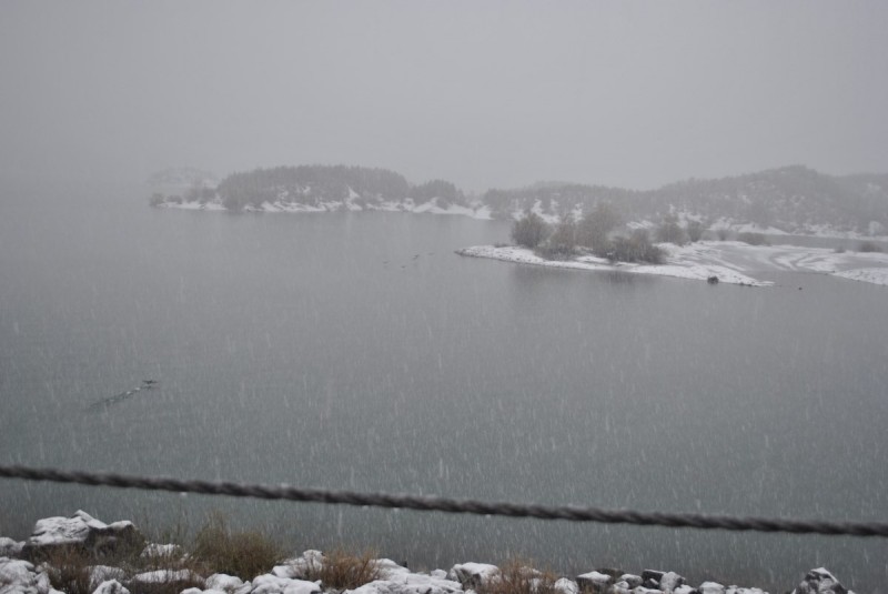 _DSC9567.jpg