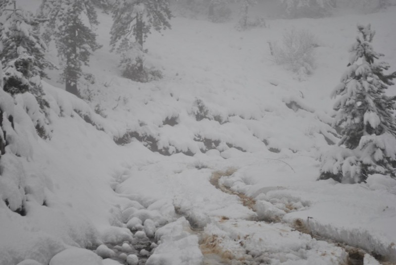 _DSC9587.jpg