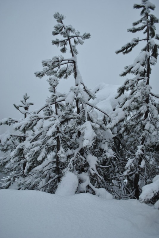 _DSC9593.jpg