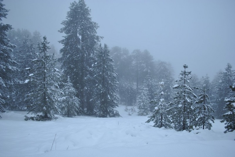 _DSC9595.jpg