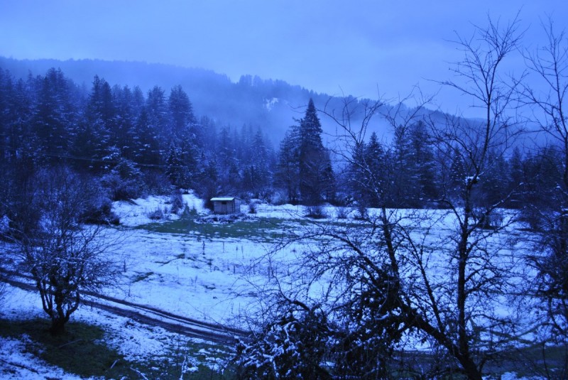 _DSC9640.jpg