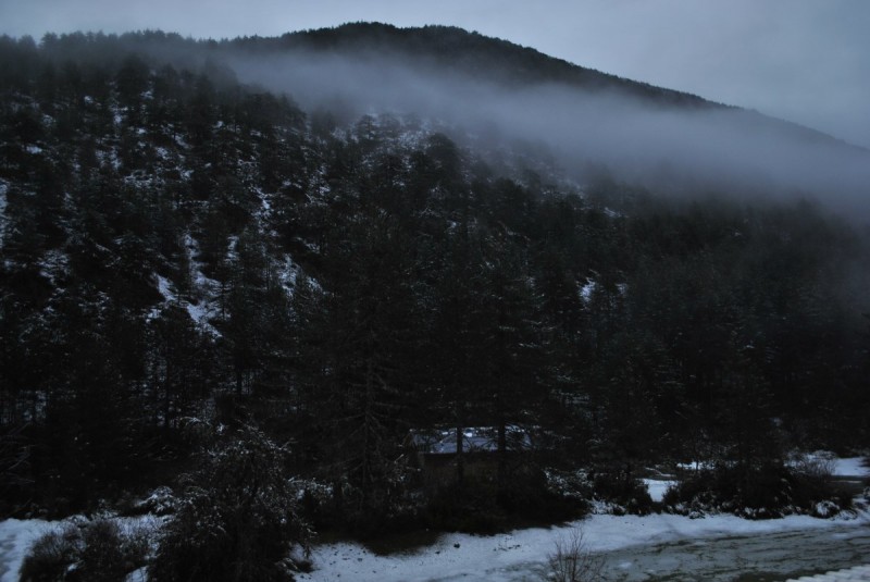 _DSC9644.jpg