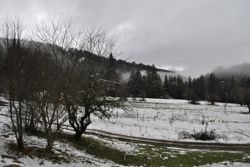_DSC9652.jpg