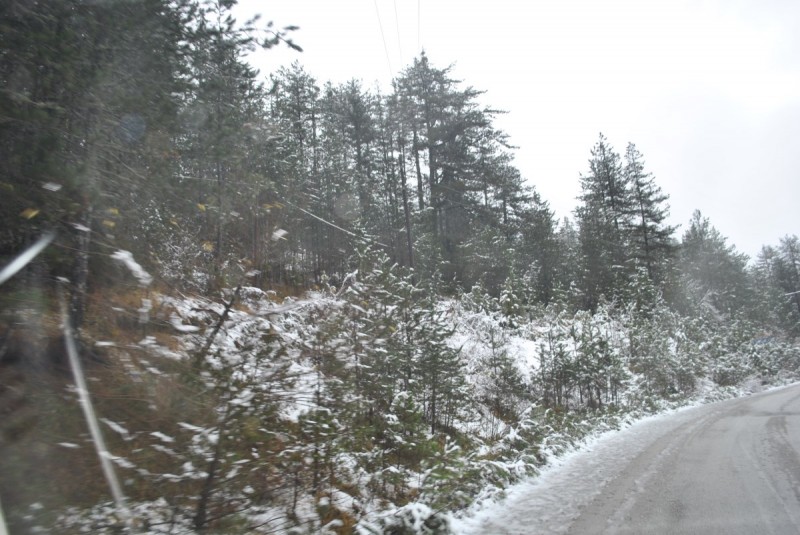 _DSC9660.jpg