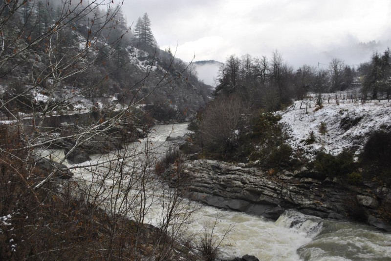_DSC9678.jpg